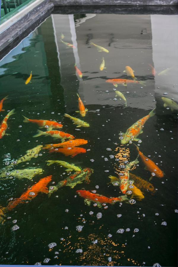 ตะวันอพาร์ทเม้นท์โฮเทลthawanapartmenthotel Satun Exterior photo